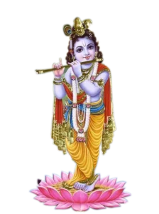 Sri Krishna Karpura Stotram