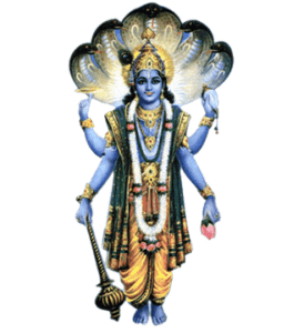 Sri Vishnu Nirajanam